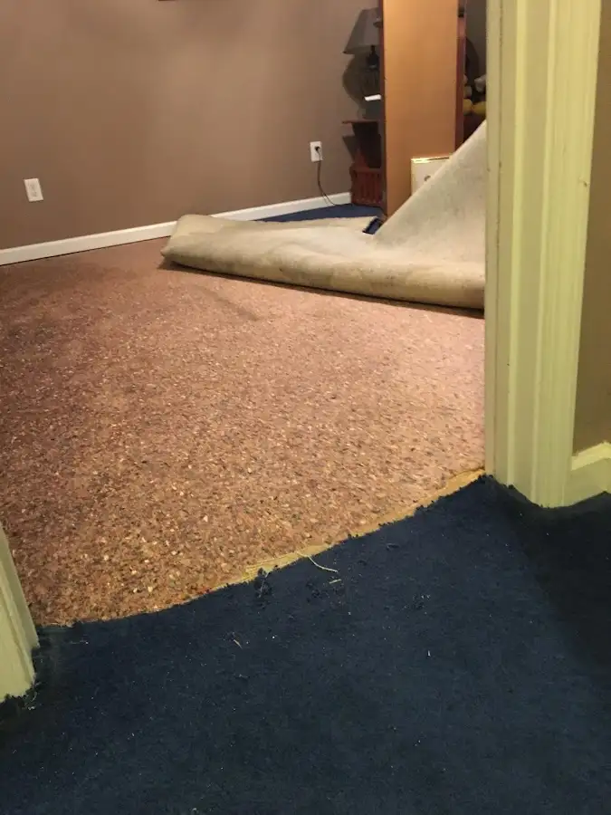 Carpet pad removal revealing water damage during Water Mitigation Services in DeKalb