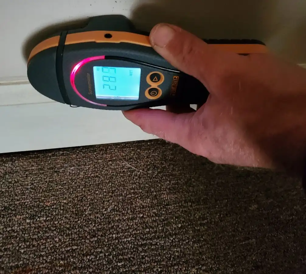 Moisture detection at baseboard during Mold Inspection & Testing in DeKalb